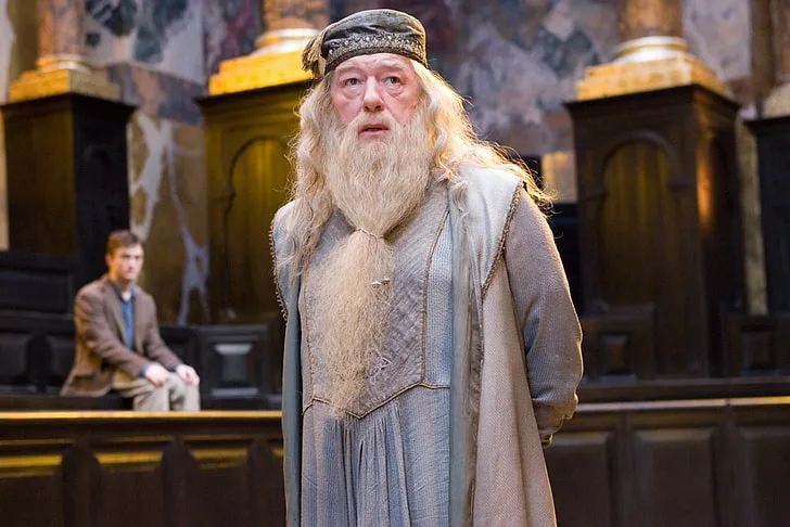 Albus Dumbledore | Harry Potter